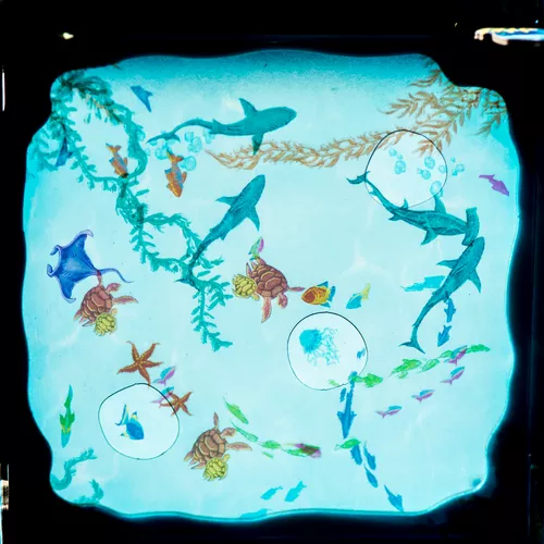 Test du jeu DIVE visuel 7